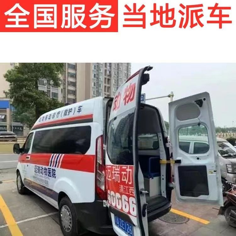 东台私人救护车护送租赁服务：安全、专业、定制化的高端护送解决方案